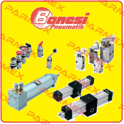 DC138020-S Bonesi Pneumatic