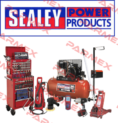 CHARGE124V318 Sealey