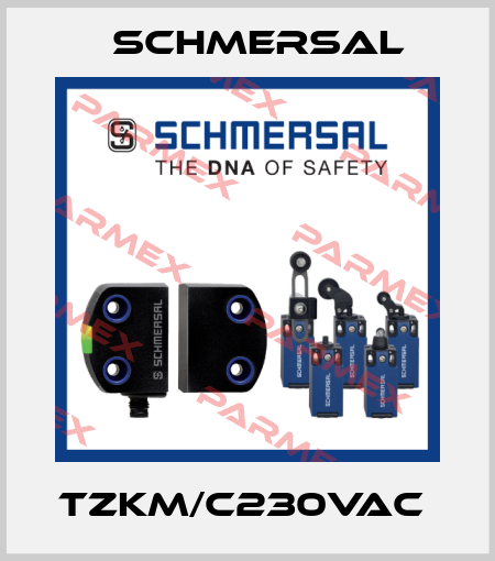 TZKM/C230VAC  Schmersal