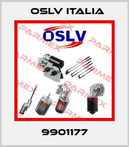 9901177 OSLV Italia