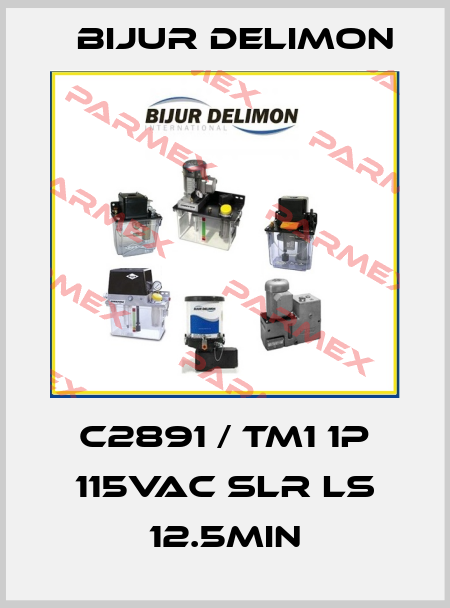 C2891 / TM1 1P 115VAC SLR LS 12.5MIN Bijur Delimon