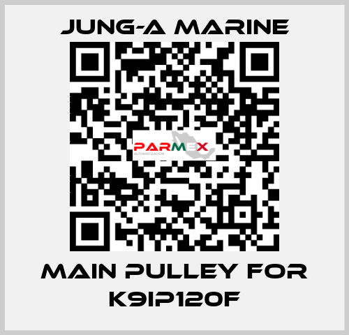 main pulley for K9IP120F JUNG-A MARINE