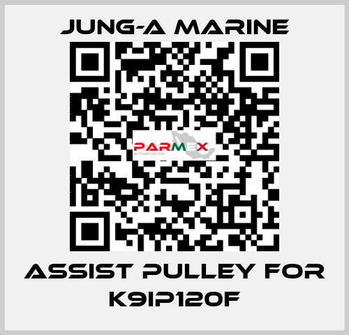 assist pulley for K9IP120F JUNG-A MARINE