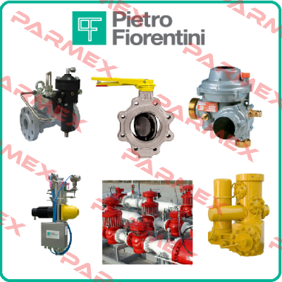 PF4700363 / Maintenance kit PVS Pietro Fiorentini