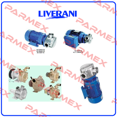 repair kit for pump 63412000 Liverani