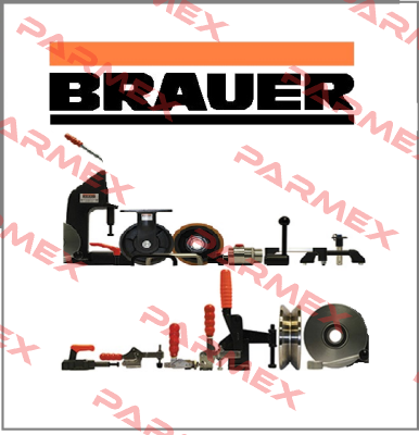 WSIINV0225/320 Brauer