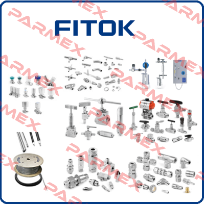10BSS-FNS16-8-1 Fitok