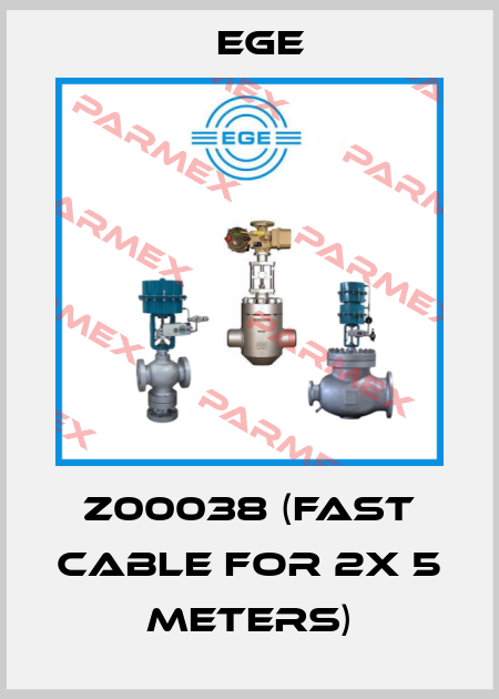 Z00038 (Fast cable for 2x 5 meters) Ege