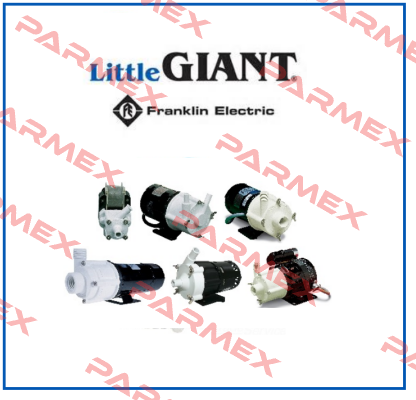 187005 Little Giant