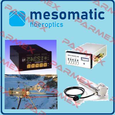 31074-Profibus DP/EN Mesomatic