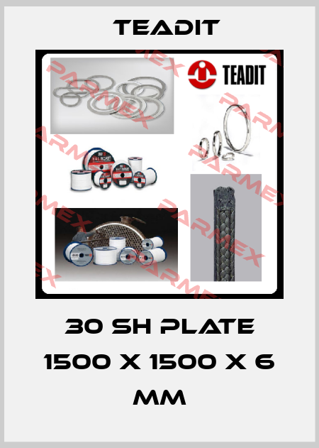 30 SH plate 1500 x 1500 x 6 mm Teadit