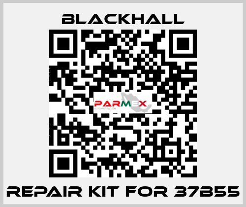 repair kit for 37B55 Blackhall