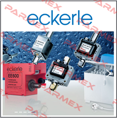 repair kit to EIPC3-0500RKX13 Eckerle