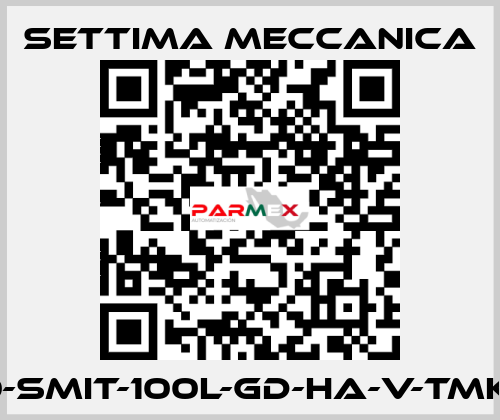 GR40-SMIT-100L-GD-HA-V-TMK-CSM Settima Meccanica