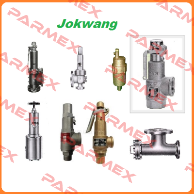 bearing cover for valve  JSV-FF100 Jokwang