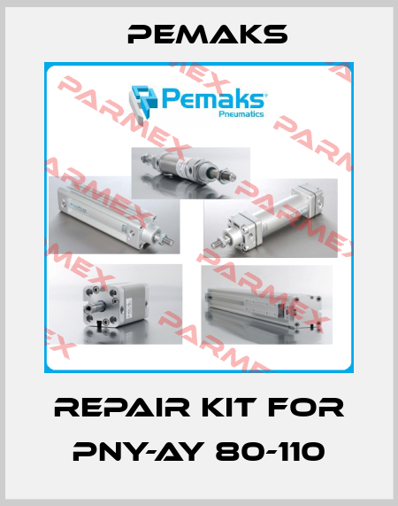 Repair kit for PNY-AY 80-110 Pemaks