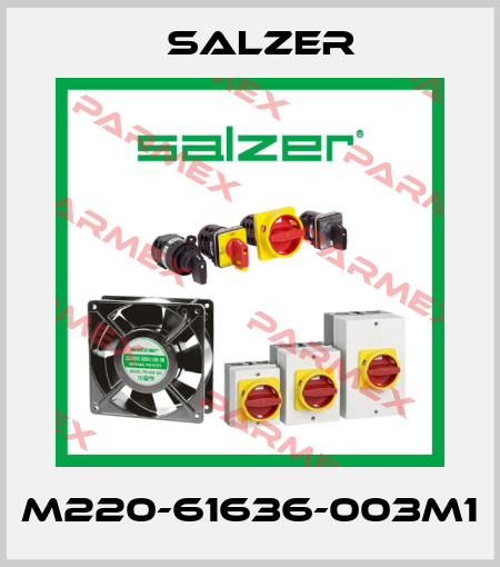M220-61636-003M1 Salzer