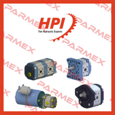 P1BAN1004CL10B01 pump only HPI