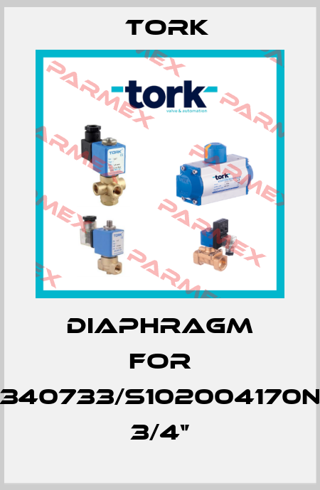 diaphragm for 340733/S102004170N 3/4‘’ Tork