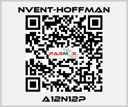 A12N12P nVent-Hoffman