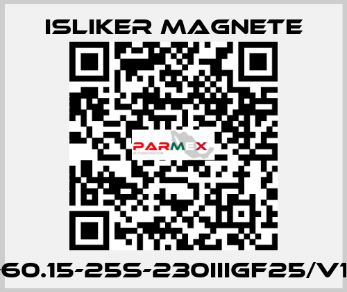 GIs-60.15-25S-230IIIGF25/V1474 ISLIKER MAGNETE