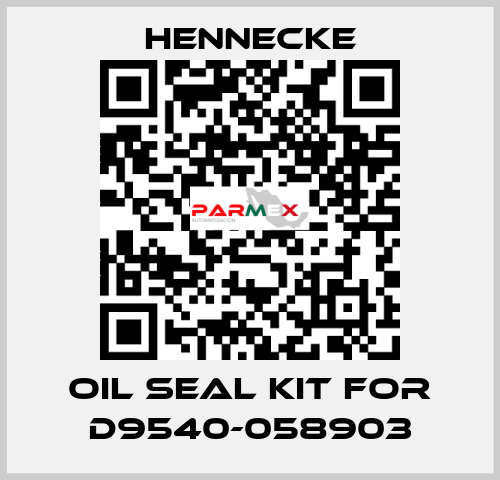 oil seal kit for D9540-058903 Hennecke