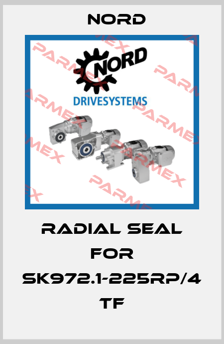 Radial seal for SK972.1-225RP/4 TF Nord