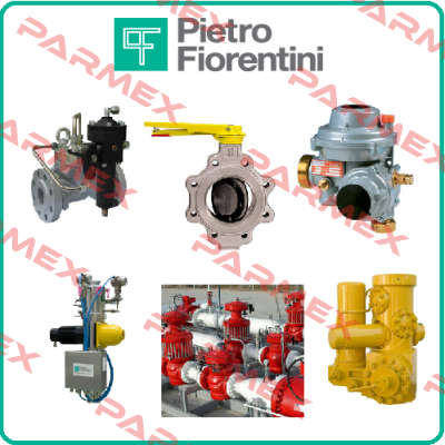 Spare kit for safety relief valve PVS 782 Pietro Fiorentini