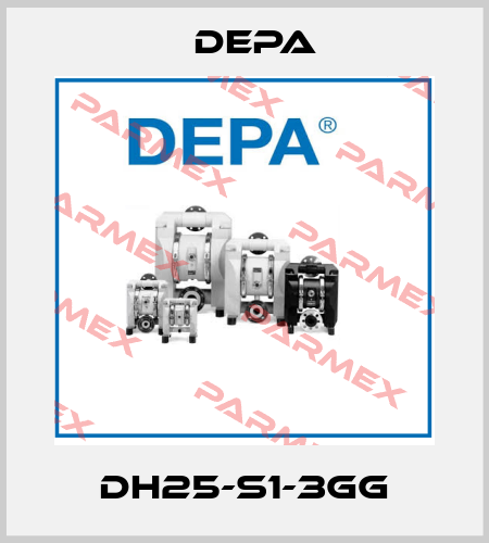 DH25-S1-3GG Depa