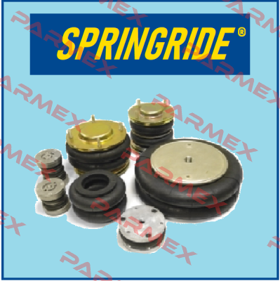 DF 6" (2) (d=160 mm) Springride