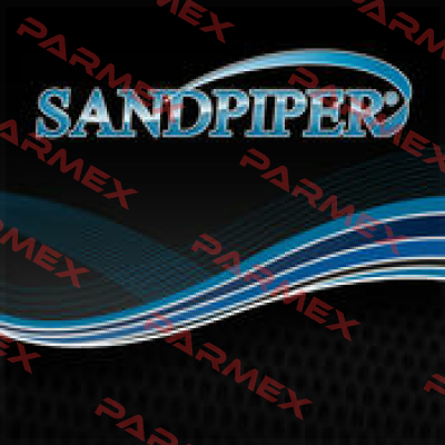 94329 – A  Sandpiper