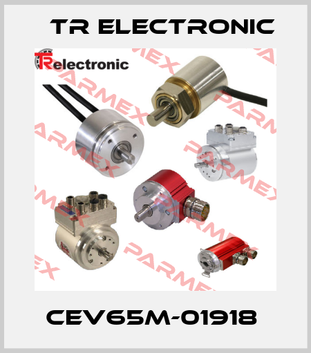 CEV65M-01918  TR Electronic