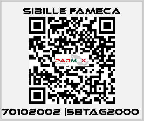 70102002 |58TAG2000  Sibille Fameca