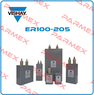 ER100-205 Vishay