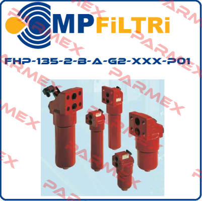 FHP-135-2-B-A-G2-XXX-P01  MP Filtri