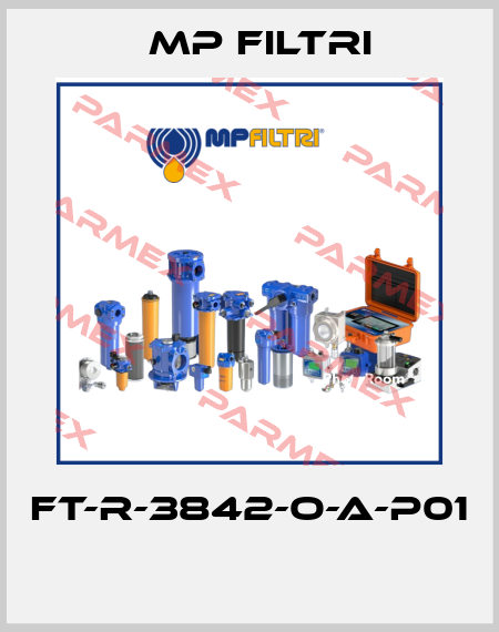 FT-R-3842-O-A-P01  MP Filtri