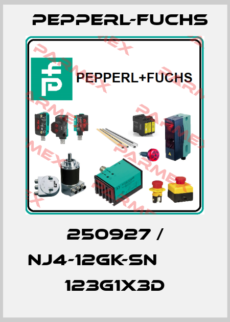 250927 / NJ4-12GK-SN           123G1x3D Pepperl-Fuchs