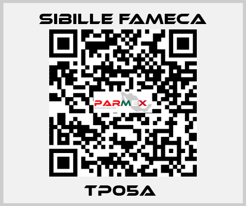 TP05A  Sibille Fameca