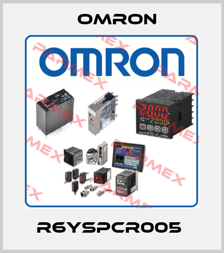 R6YSPCR005  Omron