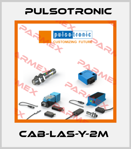 CAB-LAS-Y-2m  Pulsotronic