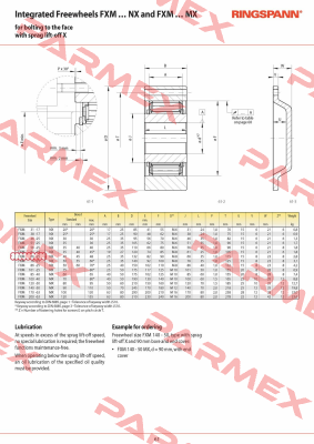 P/N: 4867-066300-040H33, Type: FXM 66-25 NX Ringspann