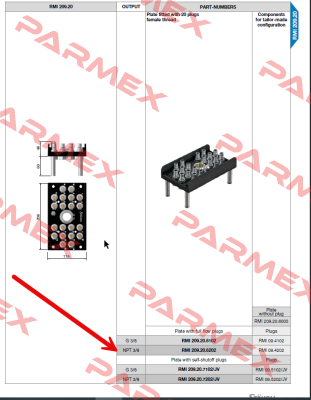 RMI209.20.6202 Staubli