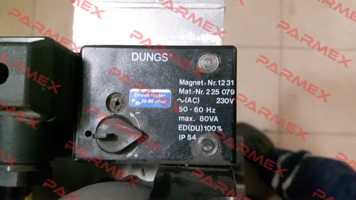 Magnet kpl.Nr.1231 AC 230 V IP 54 (228295)  Dungs