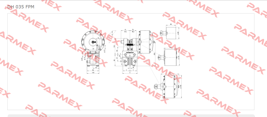 DH 035 FPM-122R-12  Ringspann