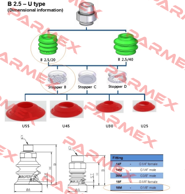 MS 20 B  Vmeca