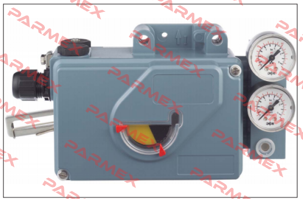 SRI990-BIMT7EAA-Y Foxboro (by Schneider Electric)