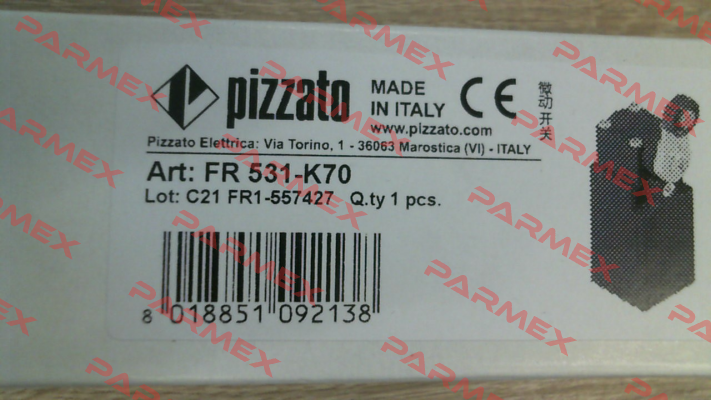 FR 531-K70 Pizzato Elettrica