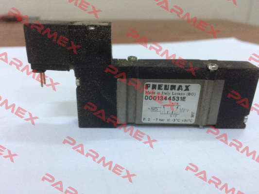 0001344531E  Pneumax