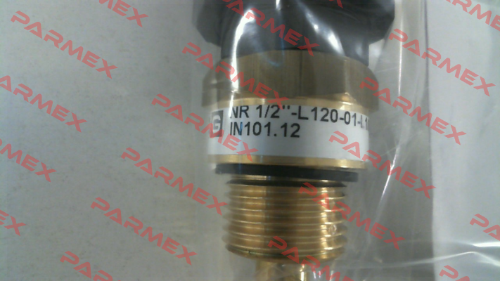 IN101.12   NR 1/2" - L120-01 Goldammer