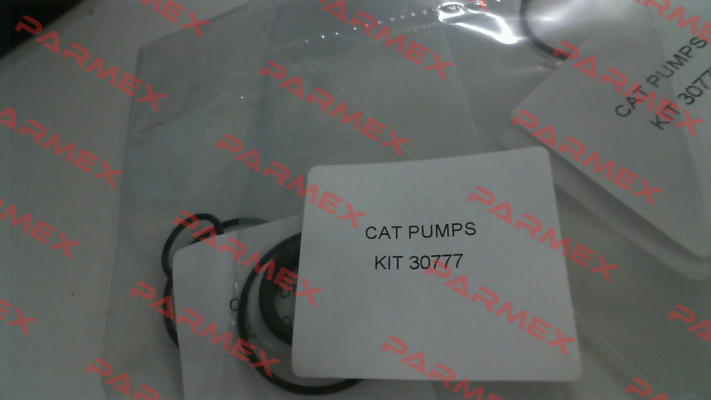 30777 Cat Pumps